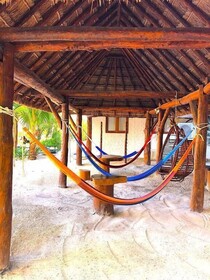 Casa Luz