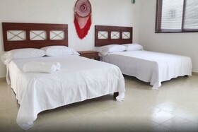 Flamingos Hostel