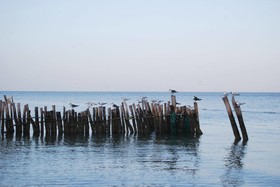 Golden Paradise Beach