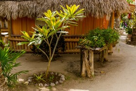 Holbox Cabanas Ida y Vuelta