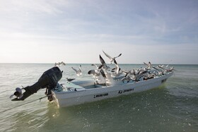 Holbox Cabanas Ida y Vuelta