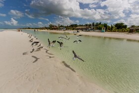 Holbox Cabanas Ida y Vuelta