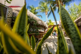 Holbox Cabanas Ida y Vuelta