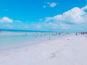 Hostel La Isla Holbox