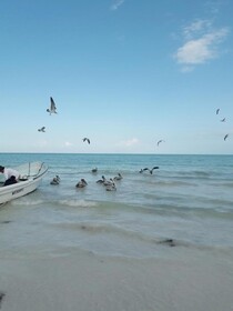Hostel La Isla Holbox