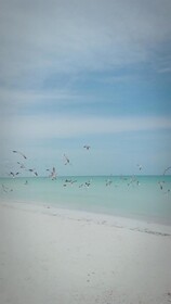 Hostel La Isla Holbox