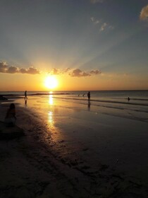 Hostel La Isla Holbox