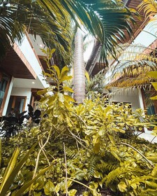 Hotel Casa Margot