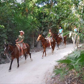 Hotel Casa Punta Coco