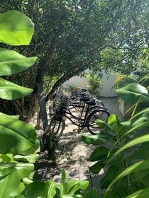 Hotel El Nido Holbox