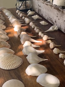 Hotel El Nido Holbox