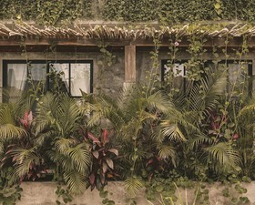 Hotel El Nido Holbox