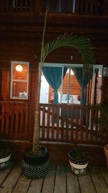 Hotelito Villas Holbox