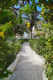 Hotel Puerto Holbox
