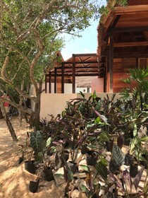 Hotel Punta Caliza