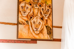 Hotel Zomay Holbox
