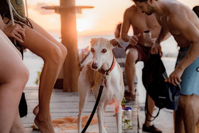 Hotel Zomay Holbox