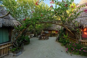 Holbox Camping Ida y Vuelta