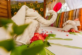 Holbox Camping Ida y Vuelta