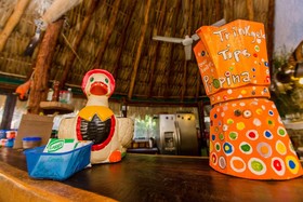 Holbox Camping Ida y Vuelta