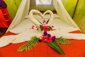 Holbox Camping Ida y Vuelta