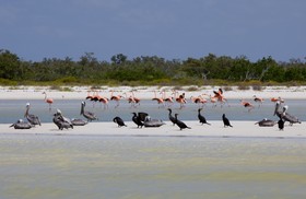 Las Nubes de Holbox