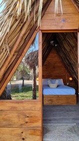 Mapache Hostel