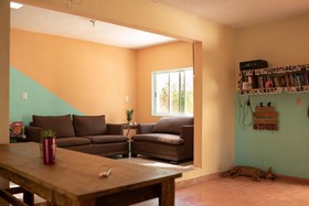 Mapache Hostel