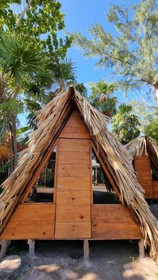 Mapache Hostel