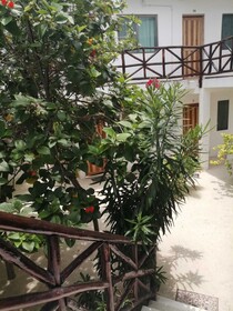Posada Yalekin