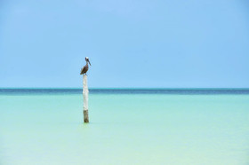 Soho Boutique Holbox