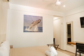 Suites Pelicano Holbox