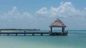 Villas Delfines
