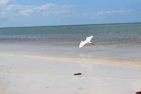 Villas Delfines