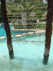 Villas Delfines