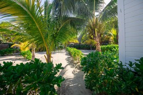 Villas El Encanto Holbox