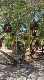 Villas Palmar Holbox