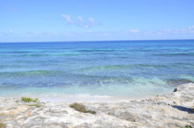 Amigo Rental Isla Mujeres