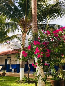 Hotel Plaza Almendros