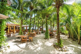 Mayan Monkey Isla Mujeres Social Hotel