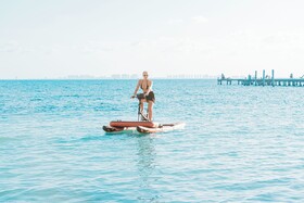 Mayan Monkey Isla Mujeres Social Hotel
