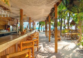 Mayan Monkey Isla Mujeres Social Hotel