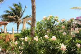 Hotel Villa Kiin