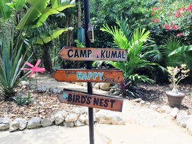 Camp Akumal