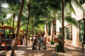 El Dorado Seaside Suites Catamarán, Cenote & More Inclusive