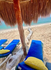 Hammock Heaven