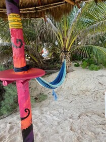 Hammock Heaven