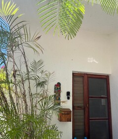 Hammock Heaven