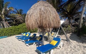 Hammock Heaven