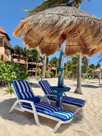 Hammock Heaven
